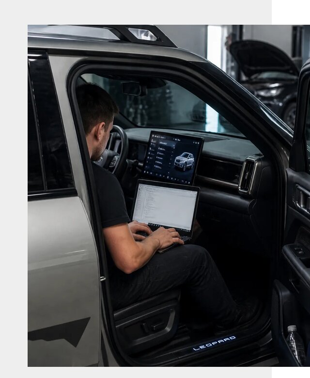 Русификация BYD Leopard 3 в Дзержинском по цене от 20366 р. | ФастМобиль-Дзж